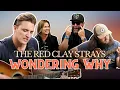 Download Lagu The Red Clay Strays - Wondering Why | Bertcast Unplugged