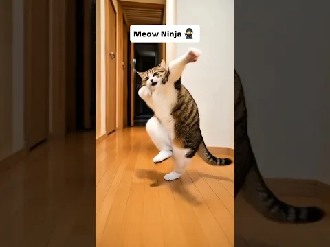 Don't buy these 4 Cat Breeds 😾❌️ #shorts #viral #cat #funny