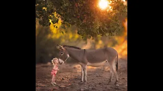 قصيدة ليس شرطا أن يكون الرزق مالا أناشيد 