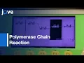 PCR Basic Protocol Plus Troubleshooting Optimization Strategies l Protocol