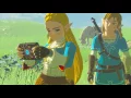 Breath of the Wild Captured Memories Picture 6-Silent Princess