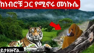 በዚህ ዘመን ከነብሮቹ ጋር የሚኖሩት መነኩሴ ይታዘዙኛል 60 አመታት አብረውኝ ኑረዋል ለማመን የሚከብድ የዘመናችን ታምር 