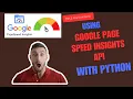 Bulk Page speed Insights SEO Audits Using the API - Python For SEO Practical