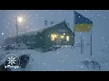 Download Lagu Snowfall and Storm Sounds | Winter Winds to Calm Your Mind | Snowstorm Sounds for Sleeping