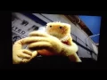 Download Lagu Channel 4 Continuity (1999) + Adverts (1)