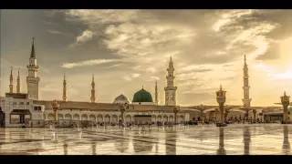                                                                دندنها