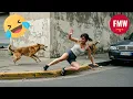 Download Lagu Funny \u0026 Hilarious People Life 😆 #491  | TRY NOT TO LAUGH CHALLENGE 😂 | Funny Videos Compilation 2025