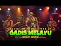 Lagu GADIS MELAYU - ROBERT MARBUN | COVER SKA REGGAE VERSION | BOOMS N COVER MUSIC