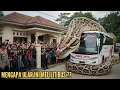 Download Lagu OOST-Java viraal!! REUZENPYTHON KRIJGT BUS, SCHOKKENDE BEWONERS