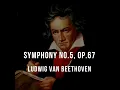 Ludwig Van Beethoven: Symphony No. 5, Op. 67