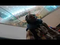 Download Lagu The Life Vlog: Dj Shine D'Best \
