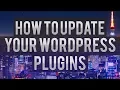 How To Update Your WordPress Plugins