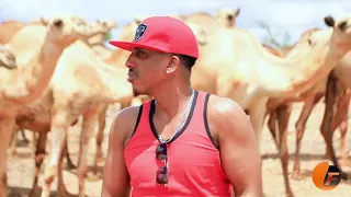 Ilkacase Qays Heesti Shuweeya Official Music Video 2020 