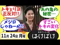 Lagu 【ばけばけ】徹底解説！11月24日月曜【朝ドラ】第41話 髙石あかり 吉沢亮 岡部たかし 池脇千鶴 小日向文世 北川景子 板垣李光人 寛一郎 佐野史郎