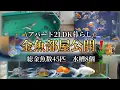 Download Lagu 【金魚紹介】金魚飼育を始めて1年で金魚増えすぎた件