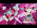 Download Lagu Mighty Morphin Power Rangers Re-Ignition Pterodactyl action Figure review! | Megazord | Playmates