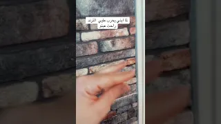 بحر الشوق ترند لطامي نغم هوم 