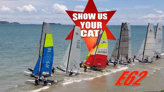 Show us your cat! Episode 62 Russia, Thailand and USA