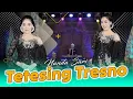 Lagu Nanda Sari - Tetesing Tresno (Official Music Video)