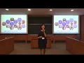 Introduction of the IMBA Program