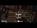 Download Lagu Nala – Tulus (KARAOKE AKUSTIK - MALE KEY)