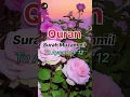 Download Lagu Al Quran Surah Muzammil Ayaat 11 12 Beautiful Recitation #shorts #status #quran #zeeshanofficial