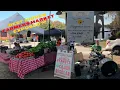 MUST SEE - Hidden Market Under a Riverfront Bridge Downtown Conway SC Best Town