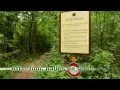 Download Lagu Promenades à Gland