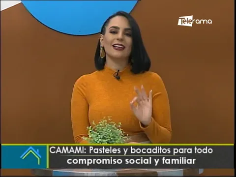 CAMAMI: Pasteles y bocaditos para todo compromiso social y familiar