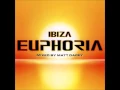 Ibiza Euphoria Disc 1.3. Art of Trance - Madagascar (Ferry Corsten remix)