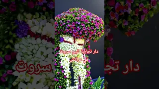 منزل تجاري سروت للبيع في مراكش 150 متر دخل تعرف تفاصيل 