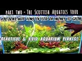 Pt 2-You Can Grow Plants Without CO2 Affordably Scottish Aquatics Tour Low Tech High Tech