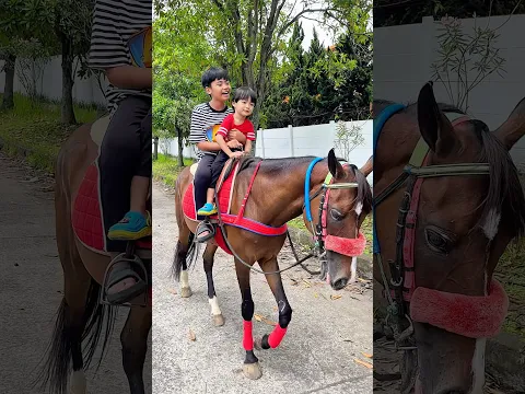 LUCU BANGET BOCIL BERAK DI ATAS KUDA😂🤣 #shorts #reels #funny #comedy #lucu #komedi