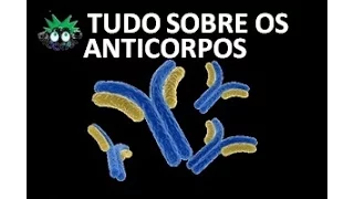 Tudo sobre anticorpos-Tipos, estrutura e formas de ação