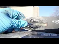 EGO 18 Inch CS1804 Chainsaw bar compatibly test