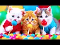 Download Lagu Kalau Kau Suka Hati Tepuk Tangan ❤️ Lagu Anak Indonesia Viral Terbaru