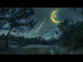 🌾Quiet Meadow Nature Sounds - Soothing Ambience for Deep Relaxation