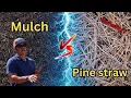 Should I Use Mulch or Pine Straw