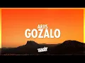 Lagu Ariis - GOZALO (Slowed) (Lyrics) | báilalo gózalo como lo canto y lo siento yo (432Hz)