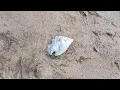 2025 Soil Surface Arrowheads - Arrowhead Hunting