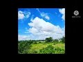 Download Lagu Huang Qing Yuan Nonstop