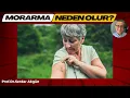 What causes bruising?, Health, Dr. Serdar Akgün