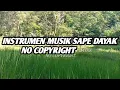 Download Lagu INSTRUMEN SAPE DAYAK || NO COPYRIGHT 2021