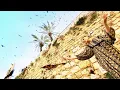 Download Lagu Old Hebrew Peace Song: El Hatzipor/אל הציפור/ To the Bird featured Erez Mounk