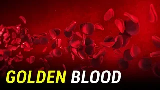 rhnull the rarest blood type on earth goldenblood