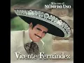 La Tienda / Vicente Fernández.