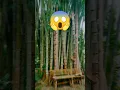 Download Lagu BAMBU BAMBOOS #trending #trend #viralvideo #viral #seram #spooky #bamboo #ngerii #fypシ