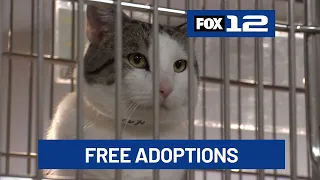 Some Oregon shelters celebrate No-Kill Shelter Month with free adoptions