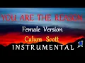 Download Lagu You Are The Reason  Calum Scott  Female key  Karaoke Version