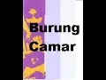Download Lagu Lirik Tembang unggulan - Burung Camar - Vina Panduwinata